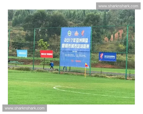 围绕2017高中足球联赛展望校园体育发展新路径探索的实践方向 围绕2017高中足球联赛展望校园体育发展新路径探索的实践方向