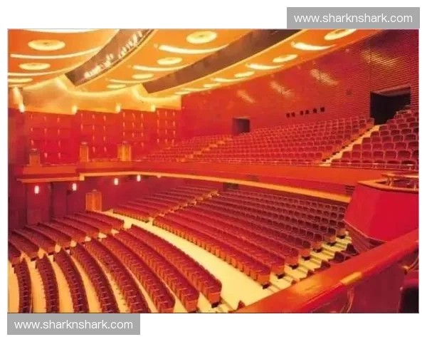 围绕嘉兴足球联赛打造城市体育活力与全民运动盛事新篇章魅力汇聚